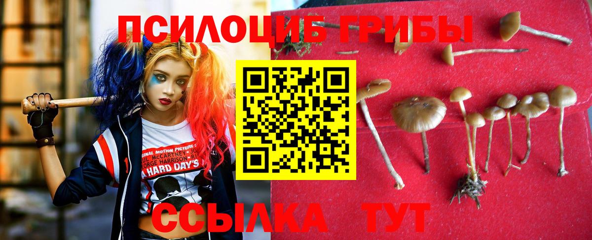 Псилоцибиновые грибы мухоморы Карталы