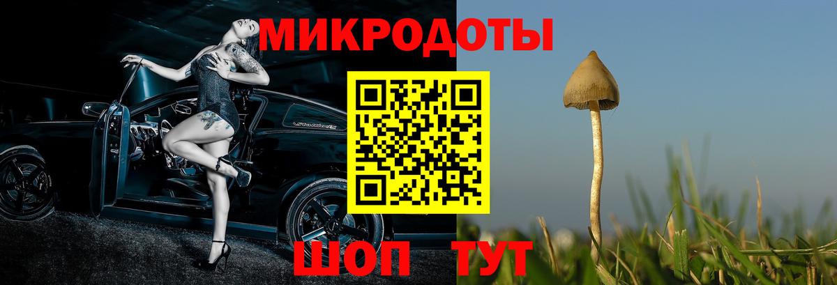Галлюциногенные грибы прущие грибы  Вход с VPN  Карталы 